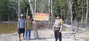 Penambang Tungau Desa Kumbung : Kami Tidak Menggarap Bakau