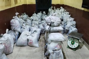 8 Ton Berhasil Diamankan, Ada Apa dengan YM Oknum Caleg DPRD Terpilih?