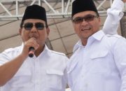 Erzaldi Rosman, Kembali Perjuangkan WPR dan IPR