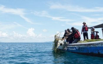 Lewat Program Artificial Reef dan Coral Garden, PT Timah Dorong Kelestarian Pesisir dan Hasil Tangkapan Nelayan