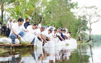 PT TIMAH Tbk Tebar Belasan Ribu Bibit Ikan di Kolong Bekas Tambang
