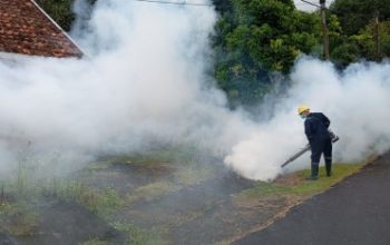 PT TIMAH Tbk Lakukan Fogging Hingga Sosialisasikan 3M Cegah Penyebaran DBD di Area Pemukiman dan Sekolah
