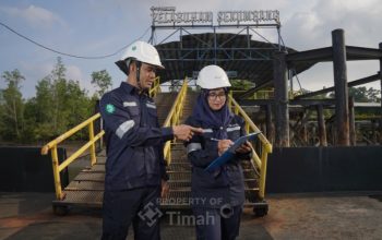 Prospek Stabil, Pefindo Berikan Peringkat idA+ untuk TINS