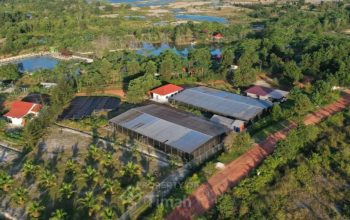 Dari Reklamasi hingga Mangrove, PT TIMAH Tbk Dorong Pemulihan Lingkungan Berkelanjutan