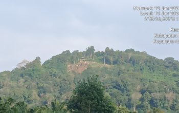 Gundulnya Bukit Gadung, Akibat Alih Fungsi Lahan Sawit Picu Kekhawatiran Lingkungan
