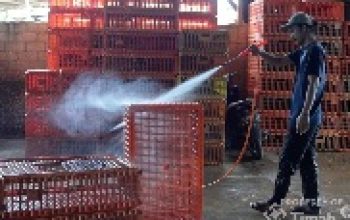 Perkuat Ekonomi Kerakyatan, PT TIMAH Siapkan Beragam Program Pengembangan UMKM