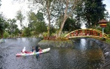 Hijau, Nyaman, dan Edukatif: Tins Green Garden Foresttree Jadi Destinasi Favorit Warga