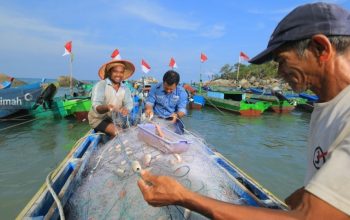 Tumbuh Bersama Nelayan, PT TIMAH Perkuat Kesejahteraan Pesisir Lewat Program Pemberdayaan
