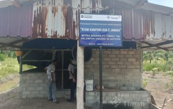 PT TIMAH Perkuat Ekonomi Lokal Melalui Peternakan Ayam Kampung di Kabupaten Karimun