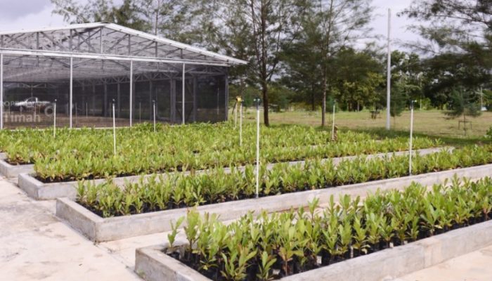 PT TIMAH Reklamasi Ratusan Hektar Lahan Pasca Tambang di Bangka Belitung