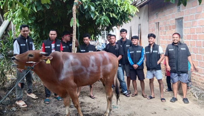 Momen IDUL ADHA: Tim BAHER Siapkan Hewan Kurban Sasar 100 Rumah, Salurkan 56 Paket Sembako dan Santunan
