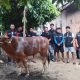 Momen IDUL ADHA: Tim BAHER Siapkan Hewan Kurban Sasar 100 Rumah, Salurkan 56 Paket Sembako dan Santunan