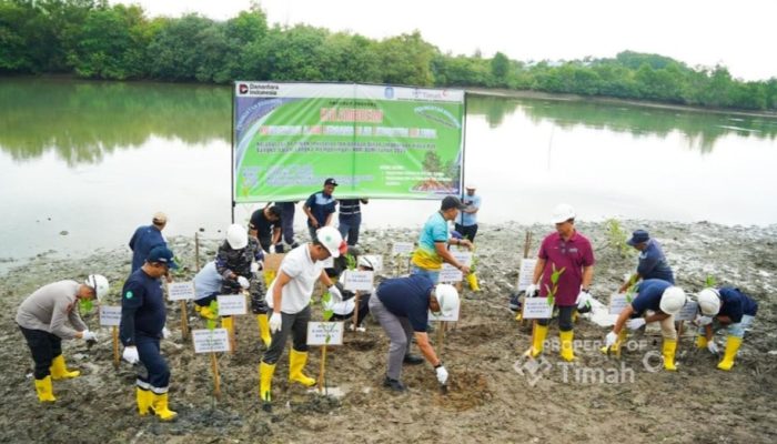 Kolaborasi PT TIMAH, Pemkab Bangka dan Warga Rubah Kolong AKHLAK Jadi Kawasan Produktif