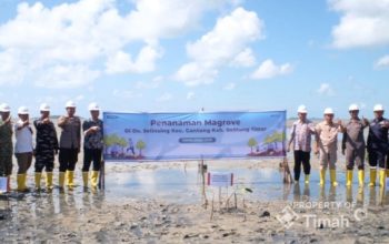 Dari Pesisir Belitung Timur, PT TIMAH dan Masyarakat Bergerak Jaga Alam Lewat Penanaman Mangrove di Pantai Mudong