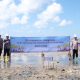 Dari Pesisir Belitung Timur, PT TIMAH dan Masyarakat Bergerak Jaga Alam Lewat Penanaman Mangrove di Pantai Mudong