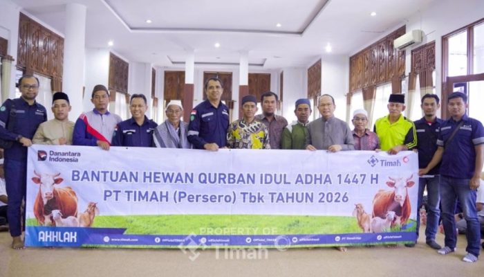 PT TIMAH Kembali Distribusikan Hewan Kurban, Bupati Bangka Tengah: Bentuk Kepedulian yang Konsisten