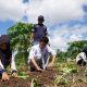 Serunya Pelajar di Bangka, Diajak Berpetualang Sambil Mengenal Reklamasi PT TIMAH