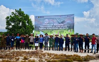 Aksi Nyata Hari Lingkungan Hidup, PT TIMAH Tanam Ratusan Pohon di Sempadan Sungai Romodong