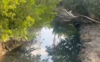 Warga Pertanyakan Tindak Lanjut Pengawasan DLH Basel, Diduga Limbah Tambak Udang Kembali Cemari Sungai Desa Pasir Putih