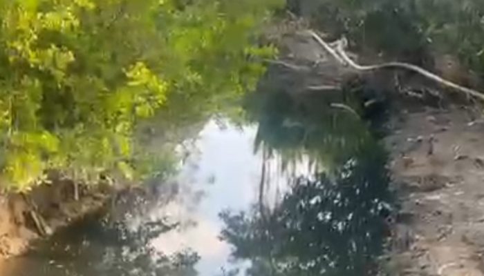 Warga Pertanyakan Tindak Lanjut Pengawasan DLH Basel, Diduga Limbah Tambak Udang Kembali Cemari Sungai Desa Pasir Putih