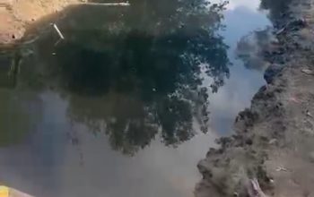Lagi lagi, Limbah Tambak Udang Perusahaan Diduga Cemari Sungai Warga di Desa Pasir Putih