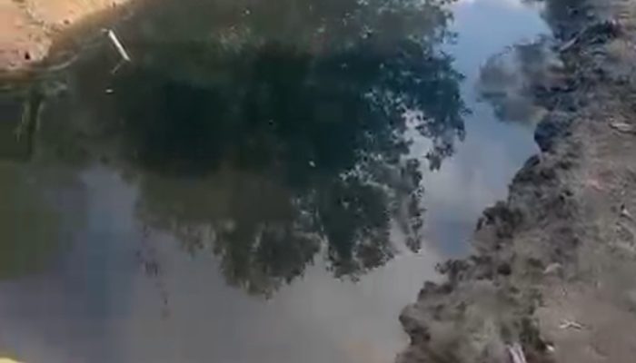 Lagi lagi, Limbah Tambak Udang Perusahaan Diduga Cemari Sungai Warga di Desa Pasir Putih