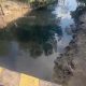 Lagi lagi, Limbah Tambak Udang Perusahaan Diduga Cemari Sungai Warga di Desa Pasir Putih